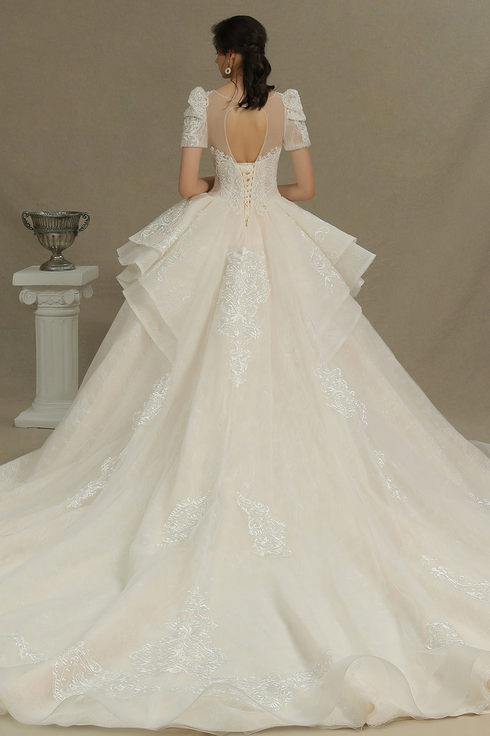 Glamorous Short Sleeve Lace Ball Gown Wedding Dress