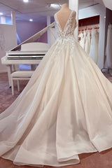 Lace Wedding Dress Princess V-Neck Sleeveless With Appliques