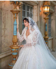 Long Sleeves Ball Gown Wedding Dress Appliques V-Neck Bridal Gown