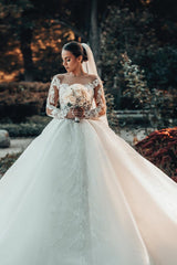 Long Sleeves Ball Gown Wedding Dress V-Neck Tulle With Lace Beads