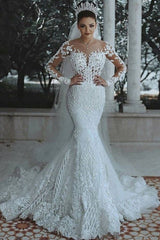 Long Sleeves Mermaid Wedding Dress With Lace Appliques