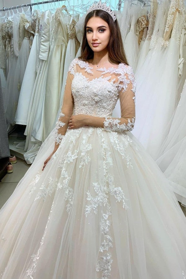 Long Sleeves Princess Ball Gown Wedding Dress With Lace Appliques