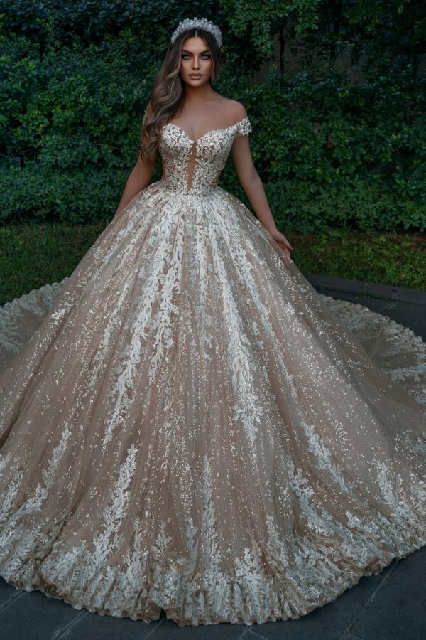 Off-the-Shoulder Champagne Wedding Dress Ball Gown With Appliques