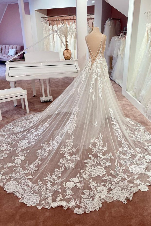 Open Back Wedding Dress Lace Sleeveless Long V-Neck